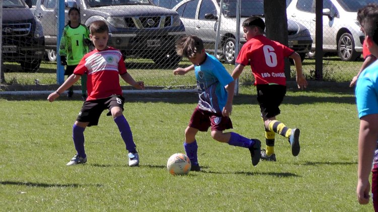Fútbol: crecimiento en todas las categorías